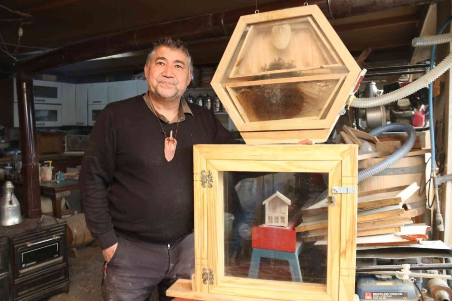 Arıları Gözlemlemek İçin ‘arıvaryum’ Adında Kovan Dizayn Etti