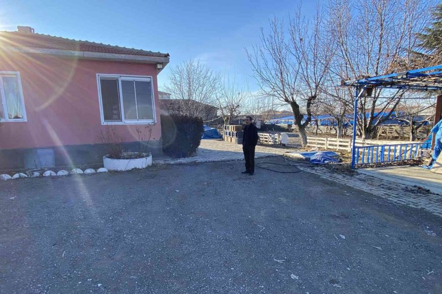 Aç Kalan Kurt İlçeye İndi