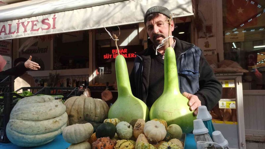 Süs Eşyası Olarak Satılan Minik Balkabakları