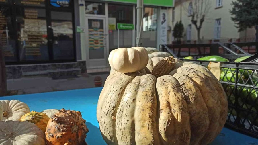 Süs Eşyası Olarak Satılan Minik Balkabakları