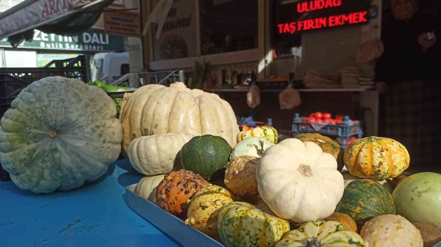 Süs Eşyası Olarak Satılan Minik Balkabakları