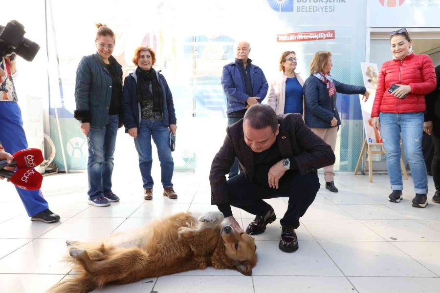 Atasem’de “bir Tutam Mutluluk” Sergisi