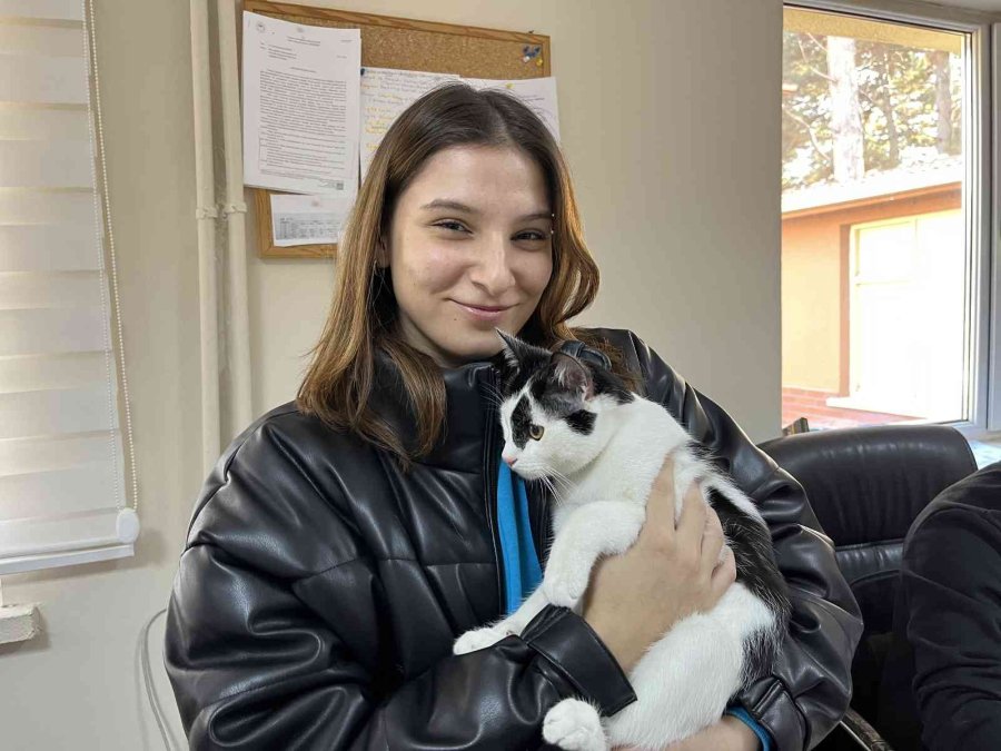 Evcil Hayvanlar İçin Çip Yoğunluğu