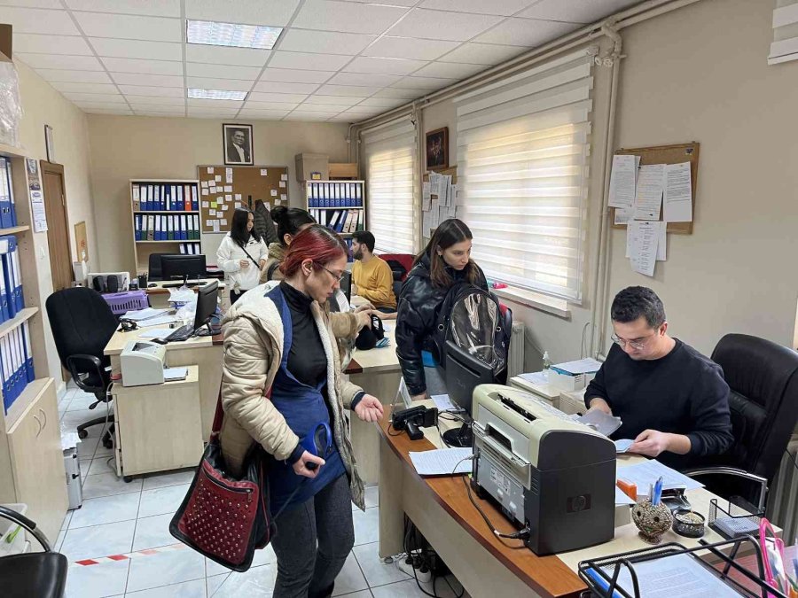 Evcil Hayvanlar İçin Çip Yoğunluğu