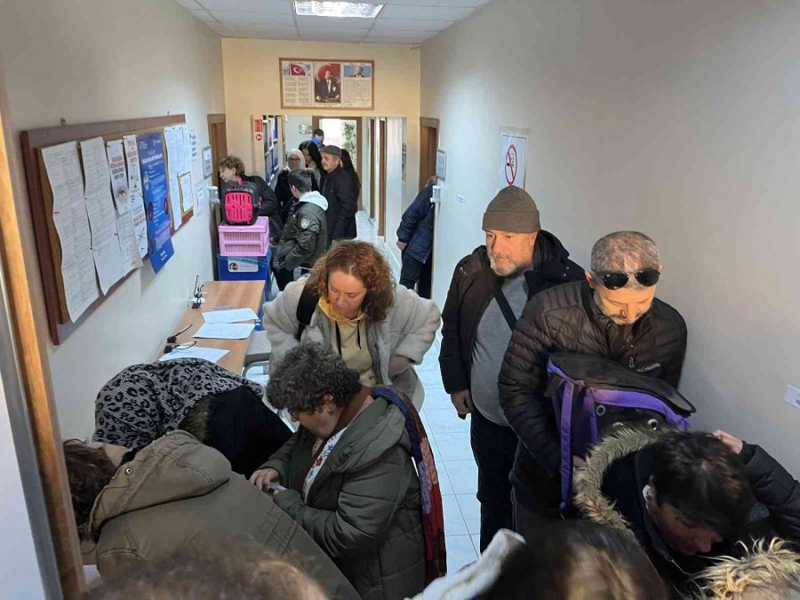 Evcil Hayvanlar İçin Çip Yoğunluğu