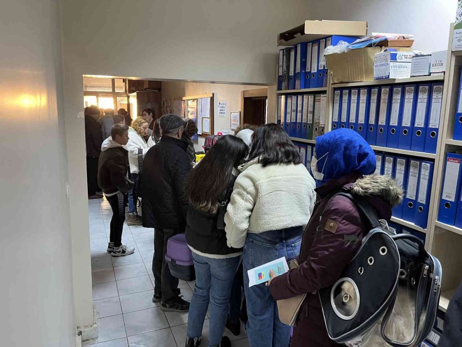 Evcil Hayvanlar İçin Çip Yoğunluğu