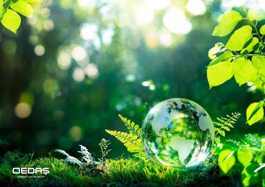 Karbon Ayak İzimizi Azaltma Çalışmaları