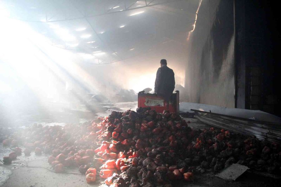 Antalya’da Paketleme Tesisinde Yangın Paniği