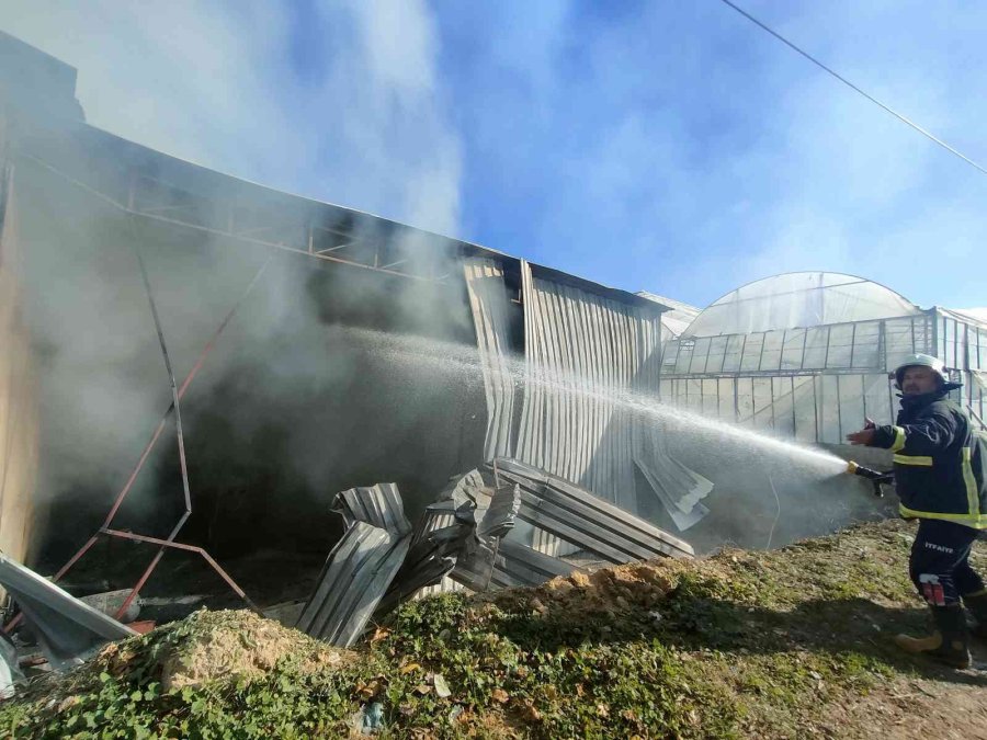 Antalya’da Paketleme Tesisinde Yangın Paniği