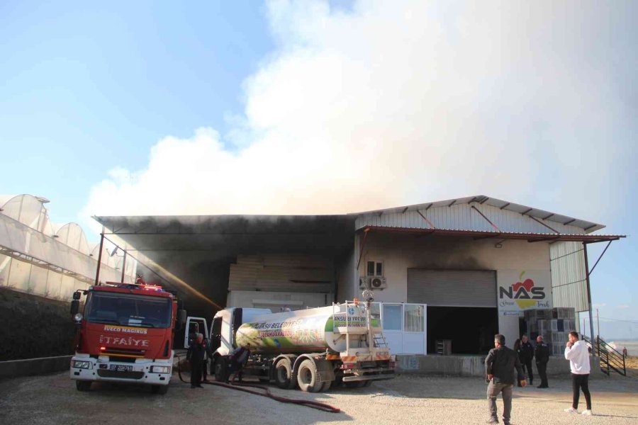 Antalya’da Paketleme Tesisinde Yangın Paniği