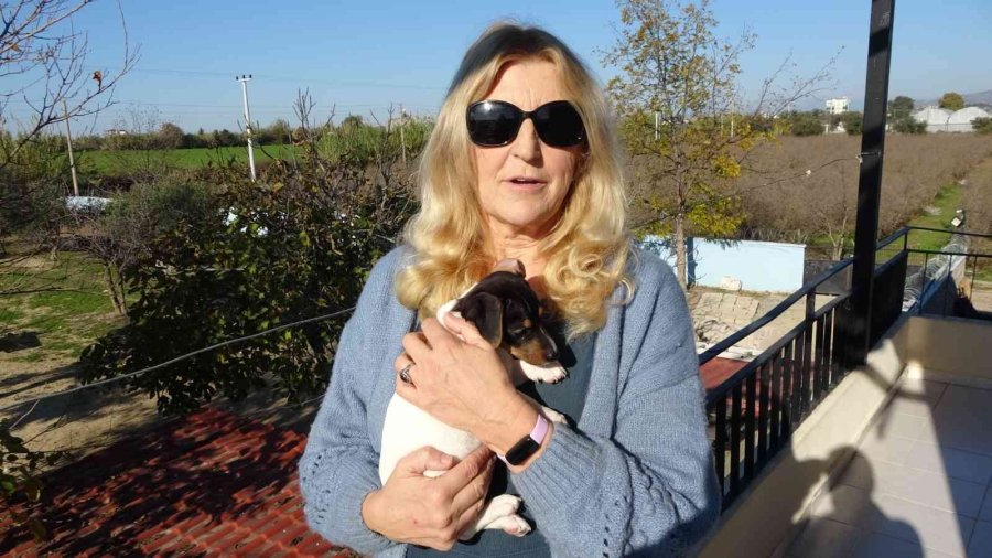 Alkollü Şahıs Tarafından Isırılıp Yumruklanan Yavru Köpek Almanya Yolcusu