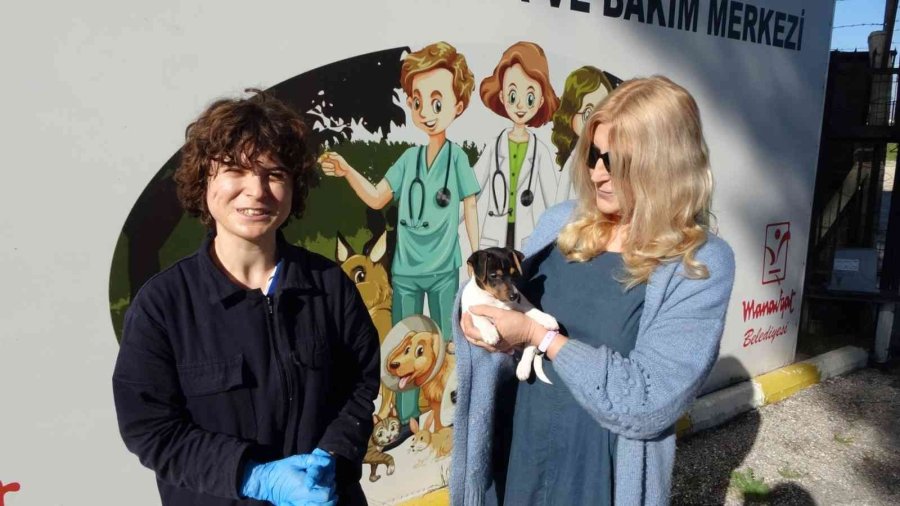 Alkollü Şahıs Tarafından Isırılıp Yumruklanan Yavru Köpek Almanya Yolcusu