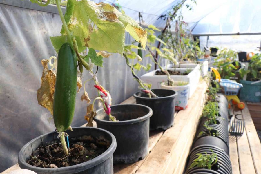 Alanya’nın Tek Köy Yaşam Merkezinde Öğrenci Ve Veliler Birlikte Eğitim Alıyor