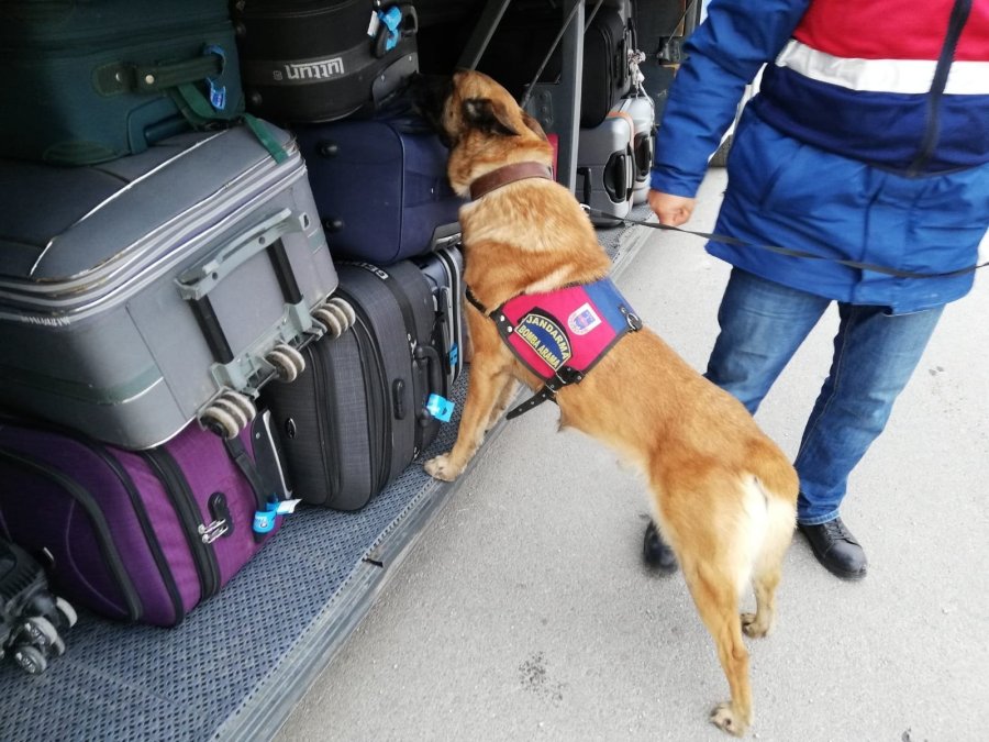 Jandarma Bin 274 Personelle Yılbaşı Denetimi Yapacak