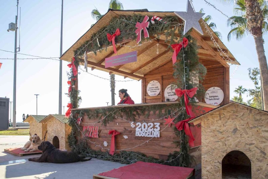 Mersin’de Sahiplendirme Standı İlgi Gördü