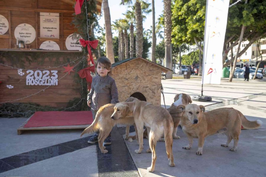 Mersin’de Sahiplendirme Standı İlgi Gördü