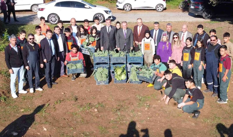Üretime Geçen Tarım Lisesi Öğrencileri Sebze Hasadı Yaptı