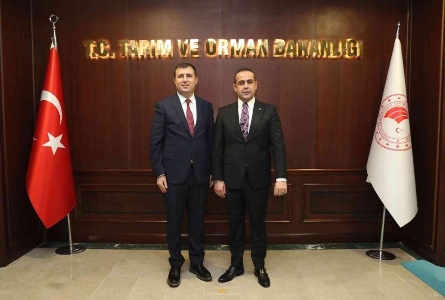 Gazipaşa Delik Deniz’e Halk Plajı Yapılacak