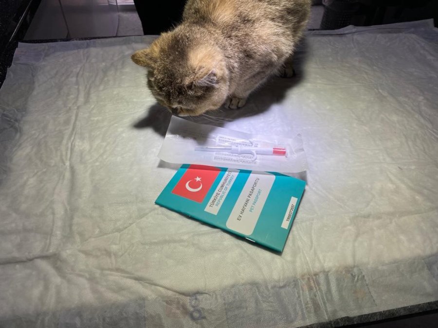 Çip Uygulaması Birçok Fayda Sağlayacak