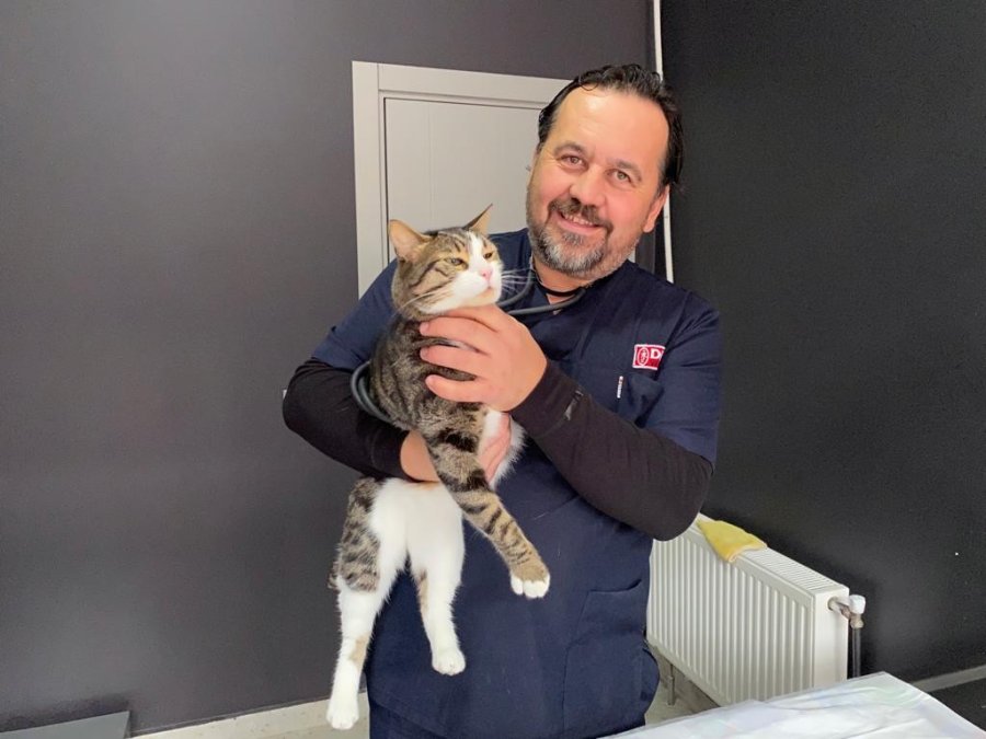 Çip Uygulaması Birçok Fayda Sağlayacak