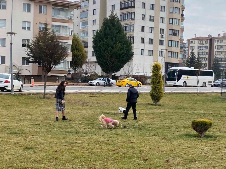 Eskişehirliler Yeni Yıla Spor İle Başladı