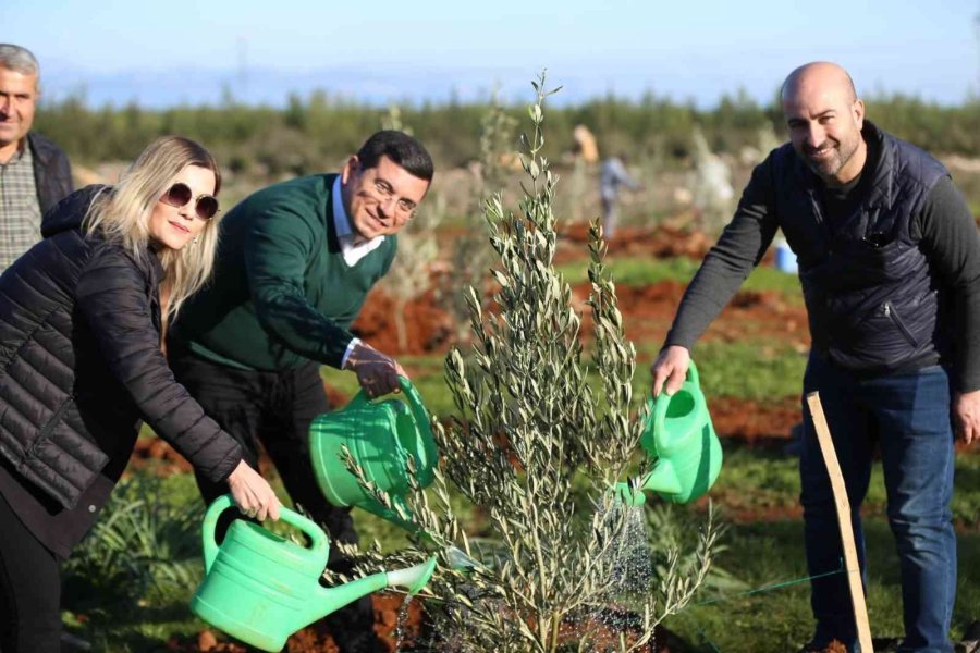 Zeytin Çiftliğinden Elde Edilecek Gelirin Tamamı 35 Bin Öğrenciye Burs Olacak