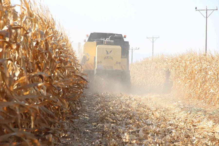 Çiftçiler Yüzde 200 Artan Tohum Fiyatlarıyla İlgili Çalışma Bekliyor