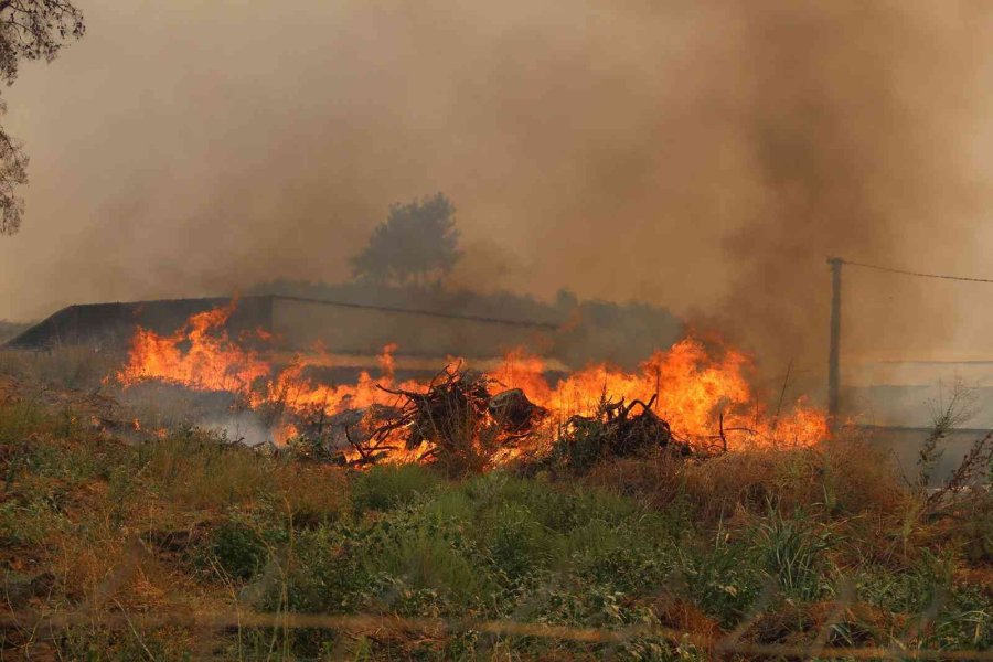 Manavgat Orman Yangını Davasında Karar