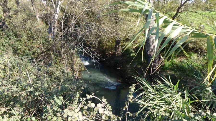 İntihar Eden Alman Vatandaşın Cesedini Balıkçı Buldu
