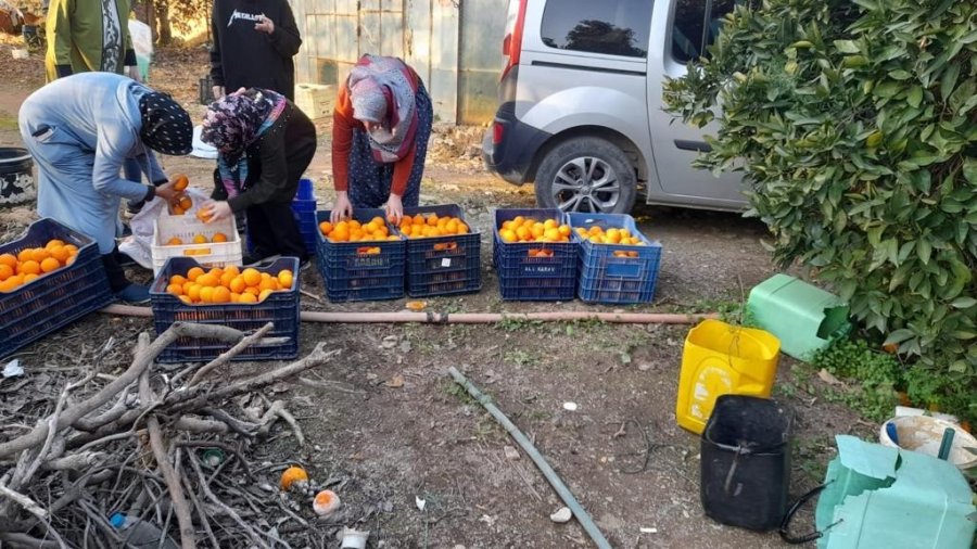 Gazipaşa’dan İdlib’e İnsani Yardım Malzemesi Gönderildi
