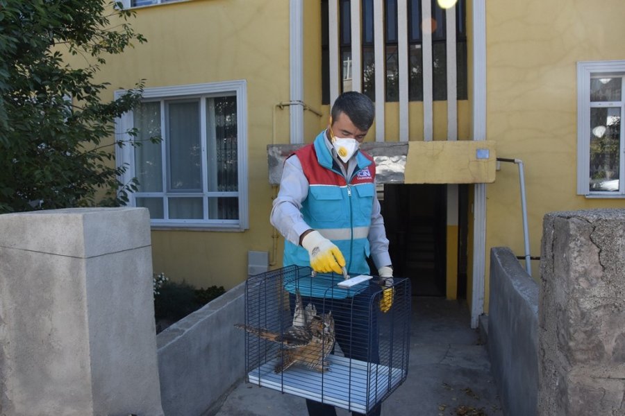 Başkan Çolakbayrakdar “küçük Dostlar Ambulansı 6 Bin 439 Can Kurtardı”