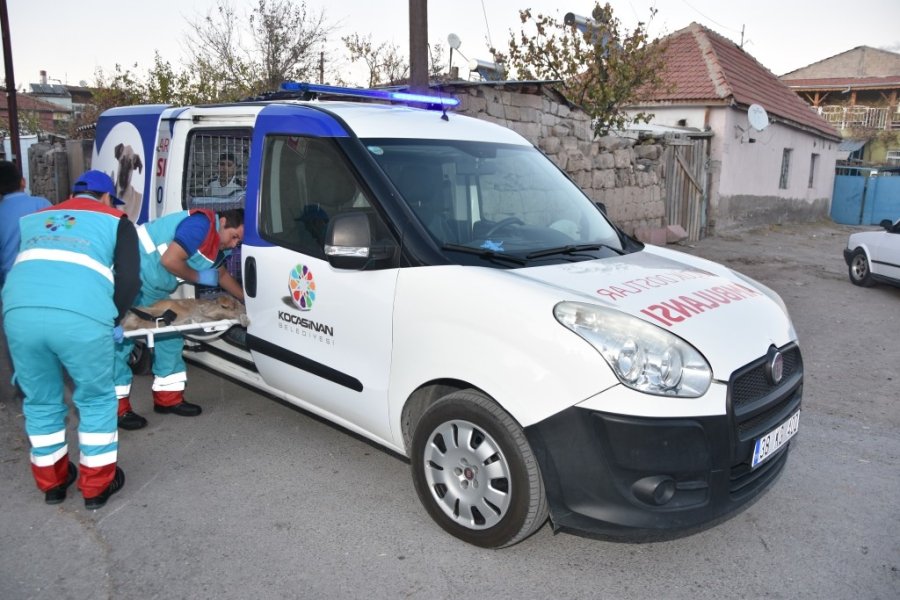 Başkan Çolakbayrakdar “küçük Dostlar Ambulansı 6 Bin 439 Can Kurtardı”