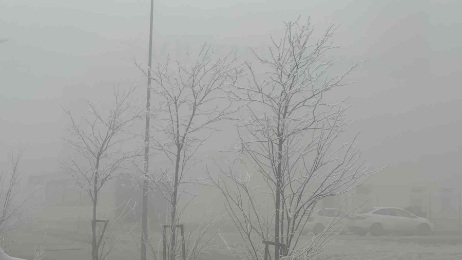 Yoğun Sis Aksaray’ı Etkisi Altına Aldı