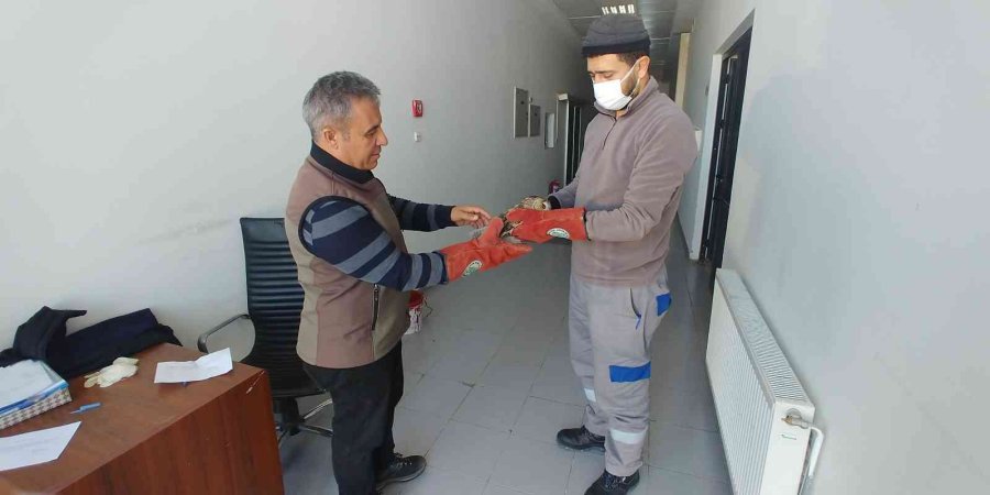 Yaralı Baykuş Tedavi Altına Alındı