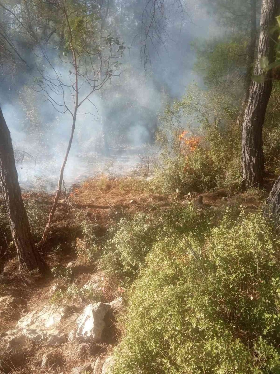 Antalya’da Çıkan Orman Yangını Büyümeden Söndürüldü