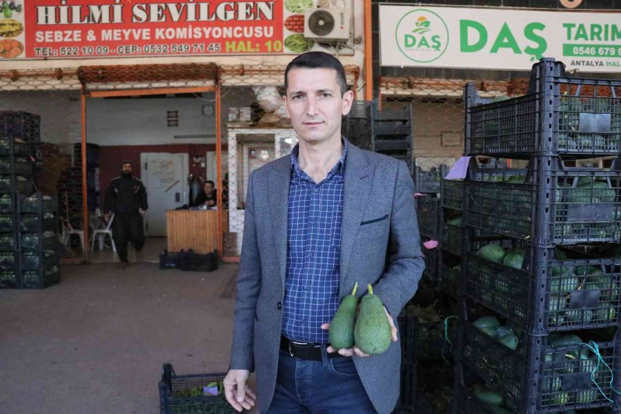 Alanya 2023 ’de Avokadoda 90 Milyon Üretim, 30 Milyon İhracat Hedefliyor
