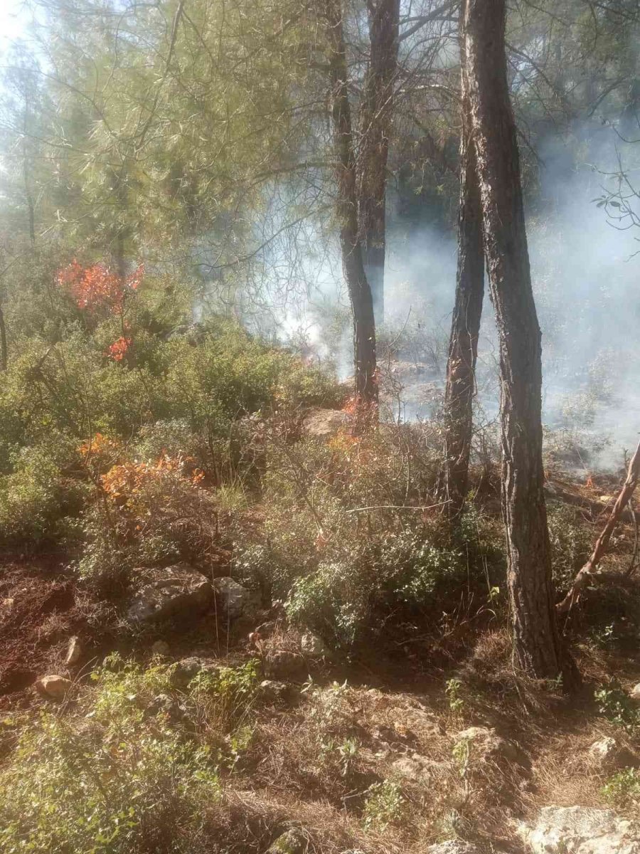 Antalya’da Çıkan Orman Yangını Büyümeden Söndürüldü