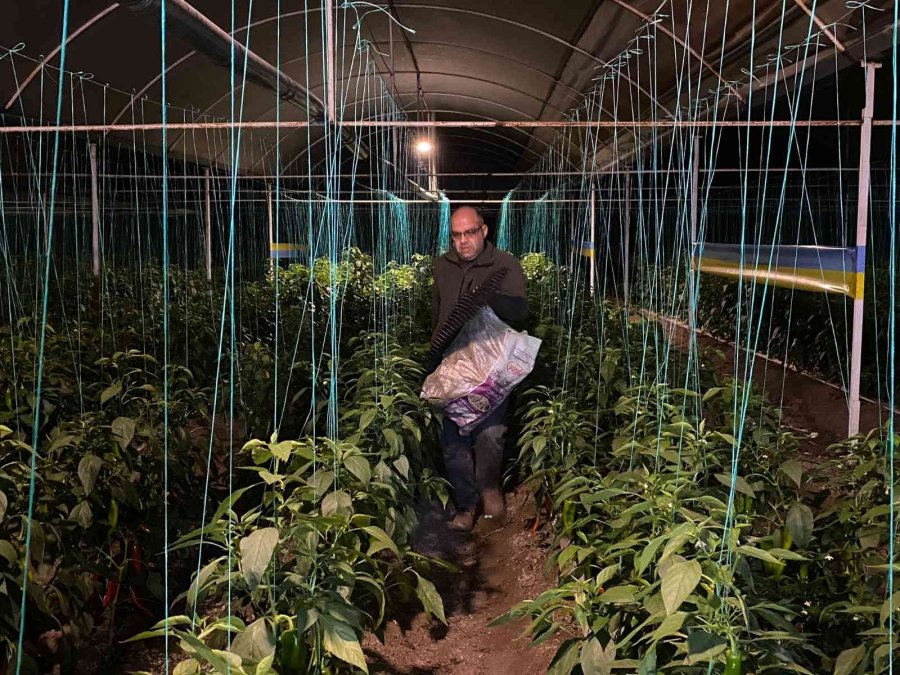 Antalya’da ’0’ Derecede Sazlı Sözlü Don Nöbeti