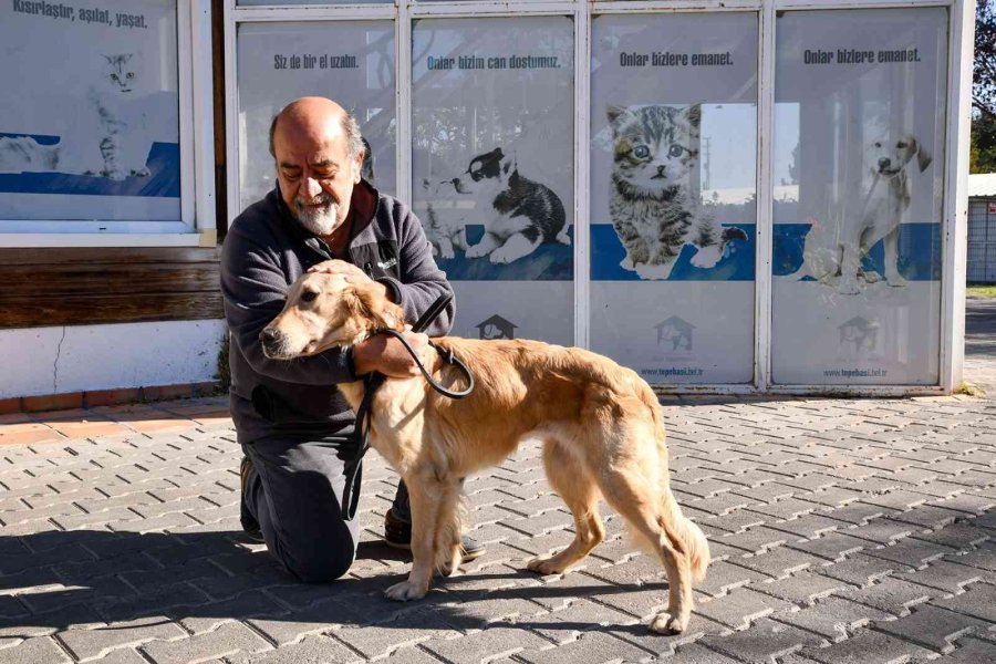 503 Canın Daha Sıcak Bir Yuvası Oldu