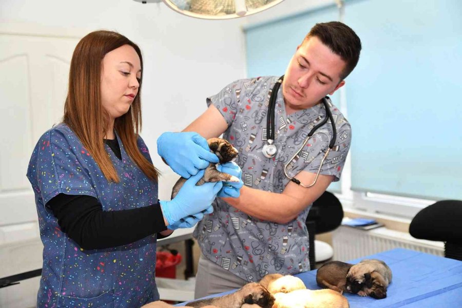 503 Canın Daha Sıcak Bir Yuvası Oldu