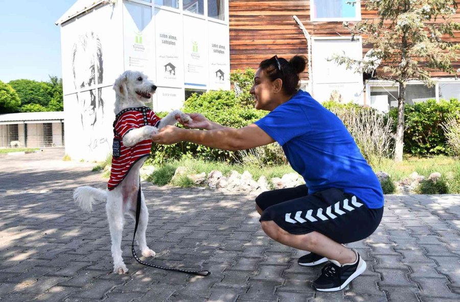 503 Canın Daha Sıcak Bir Yuvası Oldu