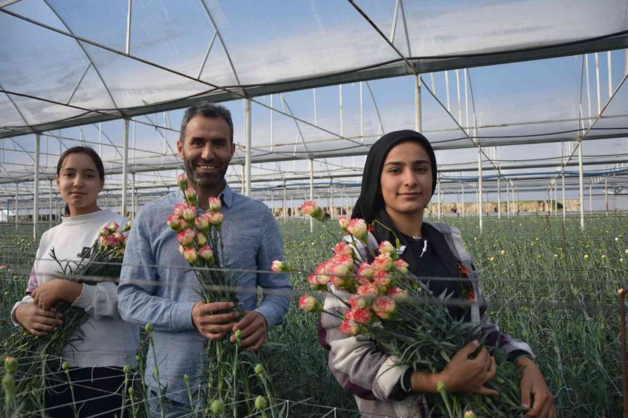 Tanesi 2 İle 5 Tl Arasında Satılıyor, Kimse Yetiştirmeye Cesaret Edemiyor