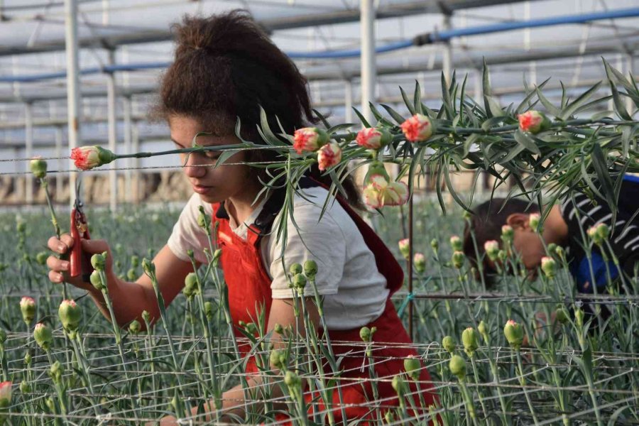 Tarımın Geleceğine Eğitimli Kadın Eli Değecek