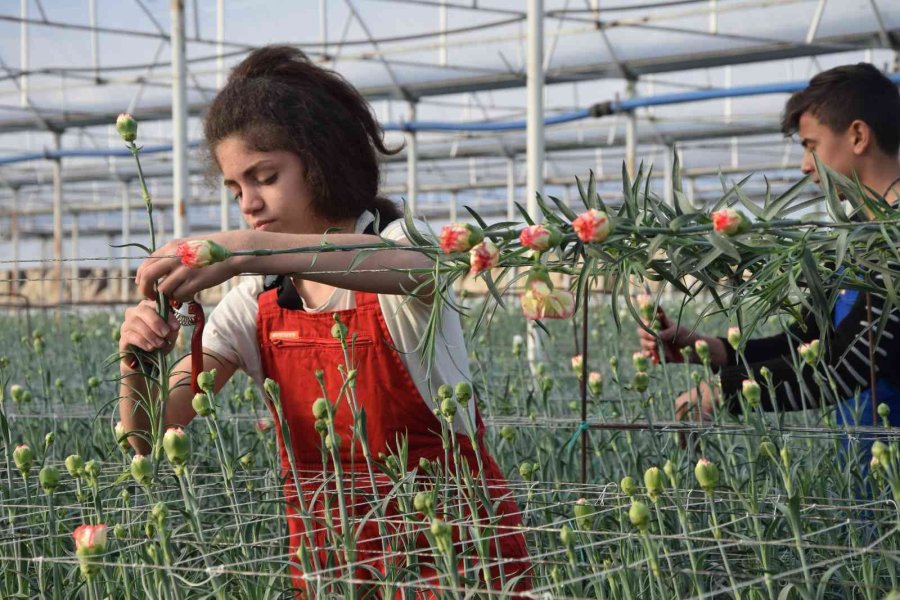 Tarımın Geleceğine Eğitimli Kadın Eli Değecek