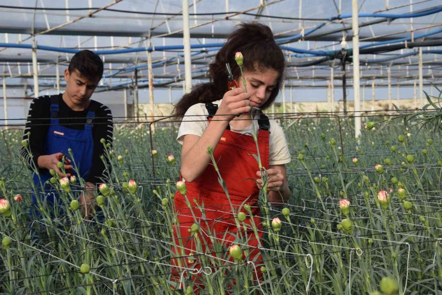 Tarımın Geleceğine Eğitimli Kadın Eli Değecek