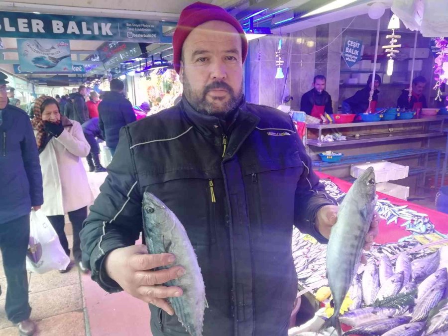 Ucuzlayan Hamsinin Fiyatı Tekrar Yükseldi