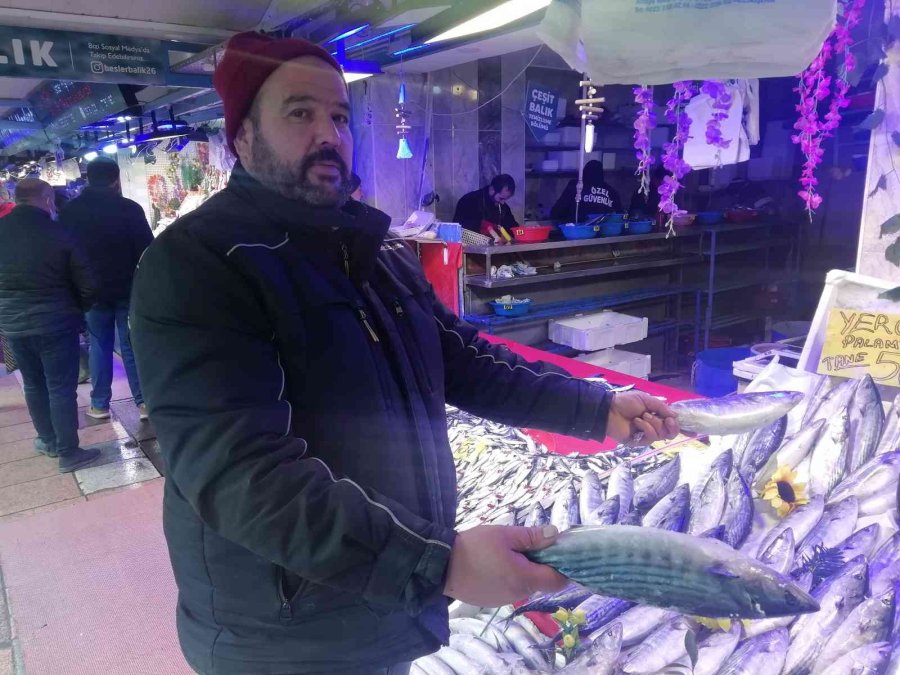 Ucuzlayan Hamsinin Fiyatı Tekrar Yükseldi