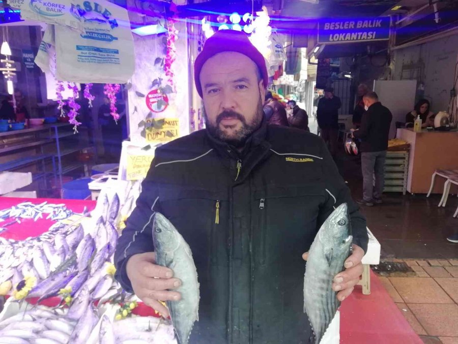 Ucuzlayan Hamsinin Fiyatı Tekrar Yükseldi