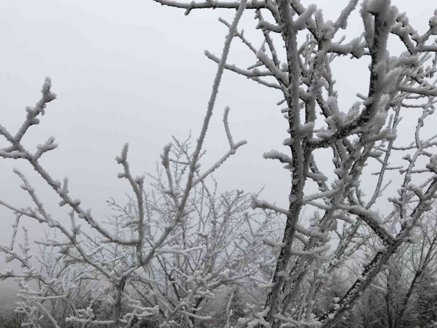Eskişehir’de Etkili Olan Kırağı Eşsiz Manzaralar Sundu