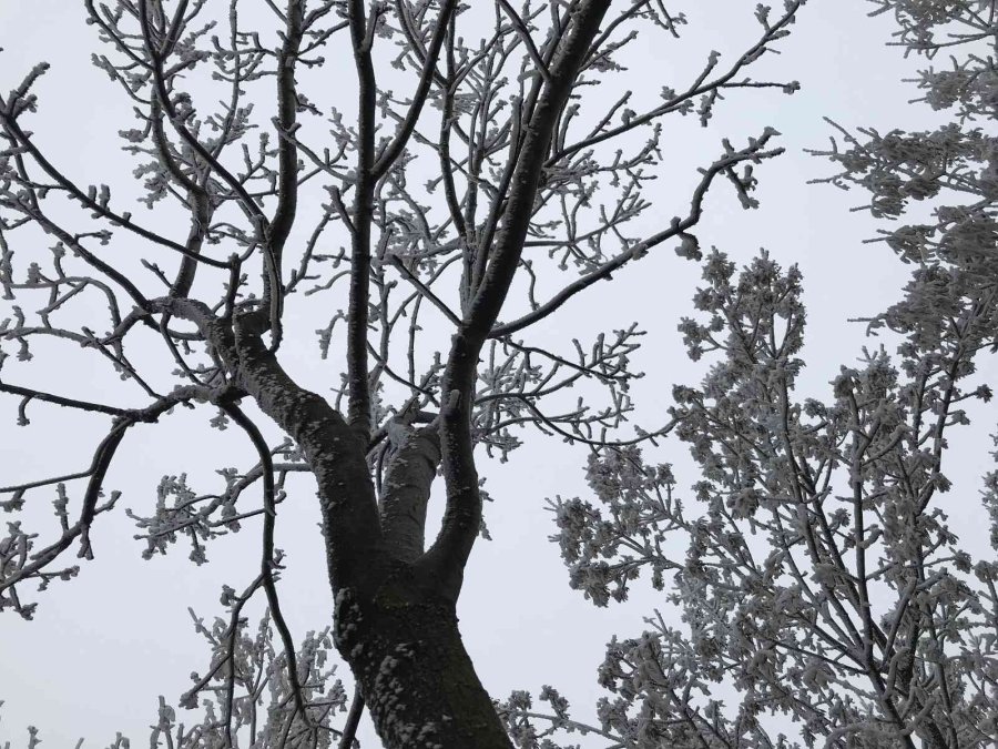 Eskişehir’de Etkili Olan Kırağı Eşsiz Manzaralar Sundu